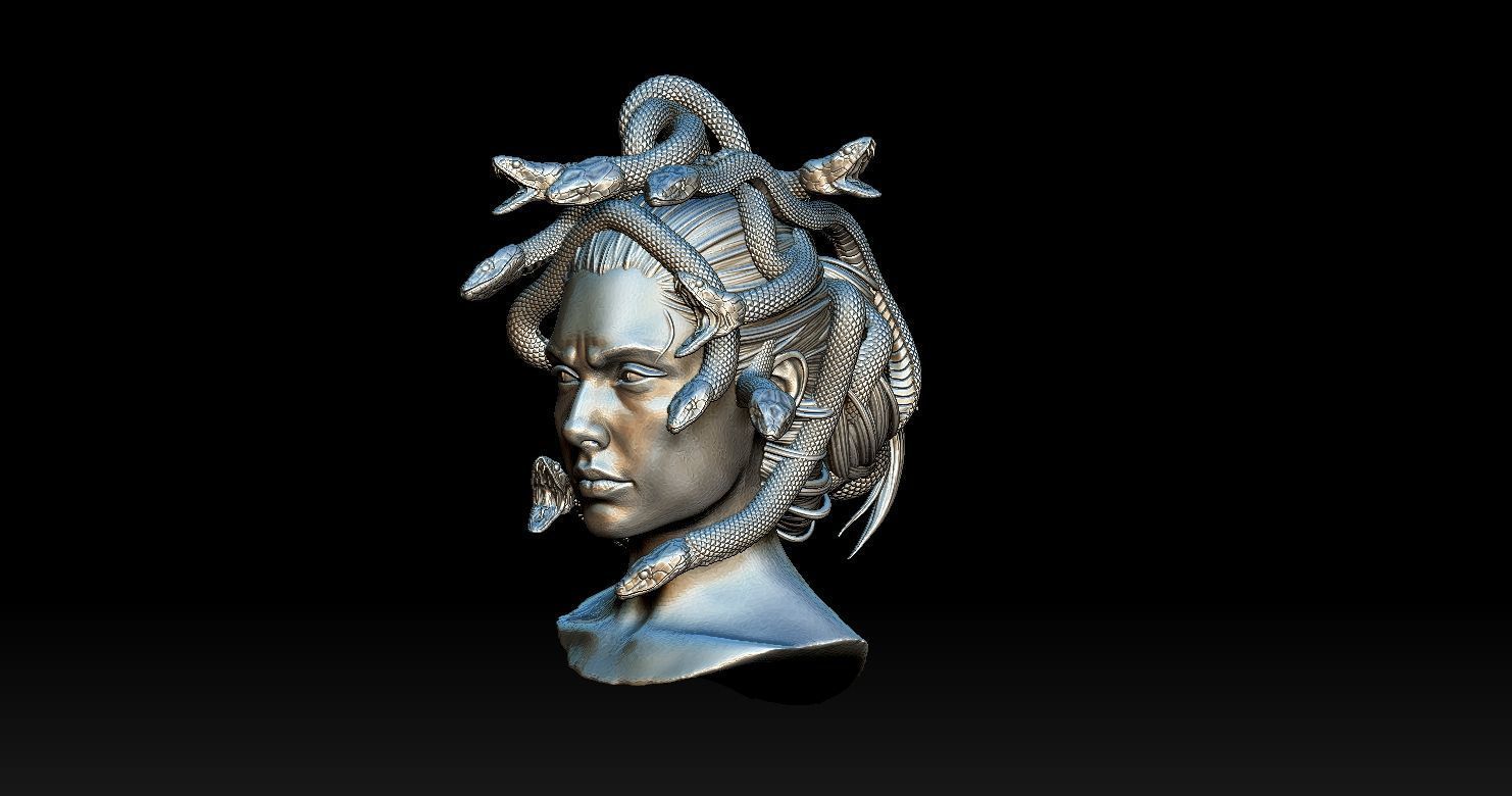 Medusa Head 2 3D print model  3D print model_5