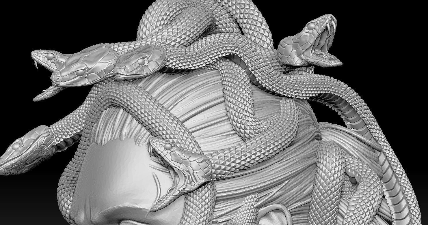 Medusa Head 2 3D print model  3D print model_6