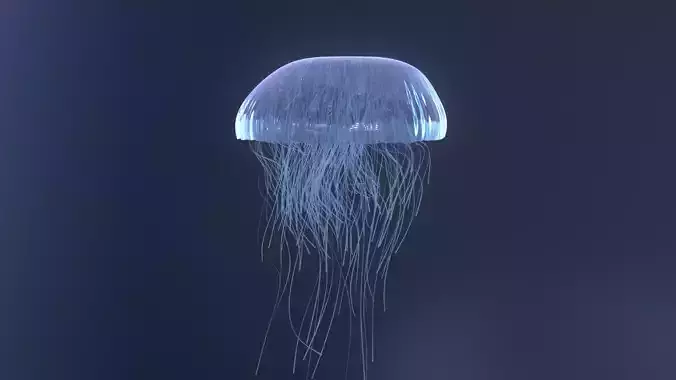 Procedural jellyfish blender cycles
