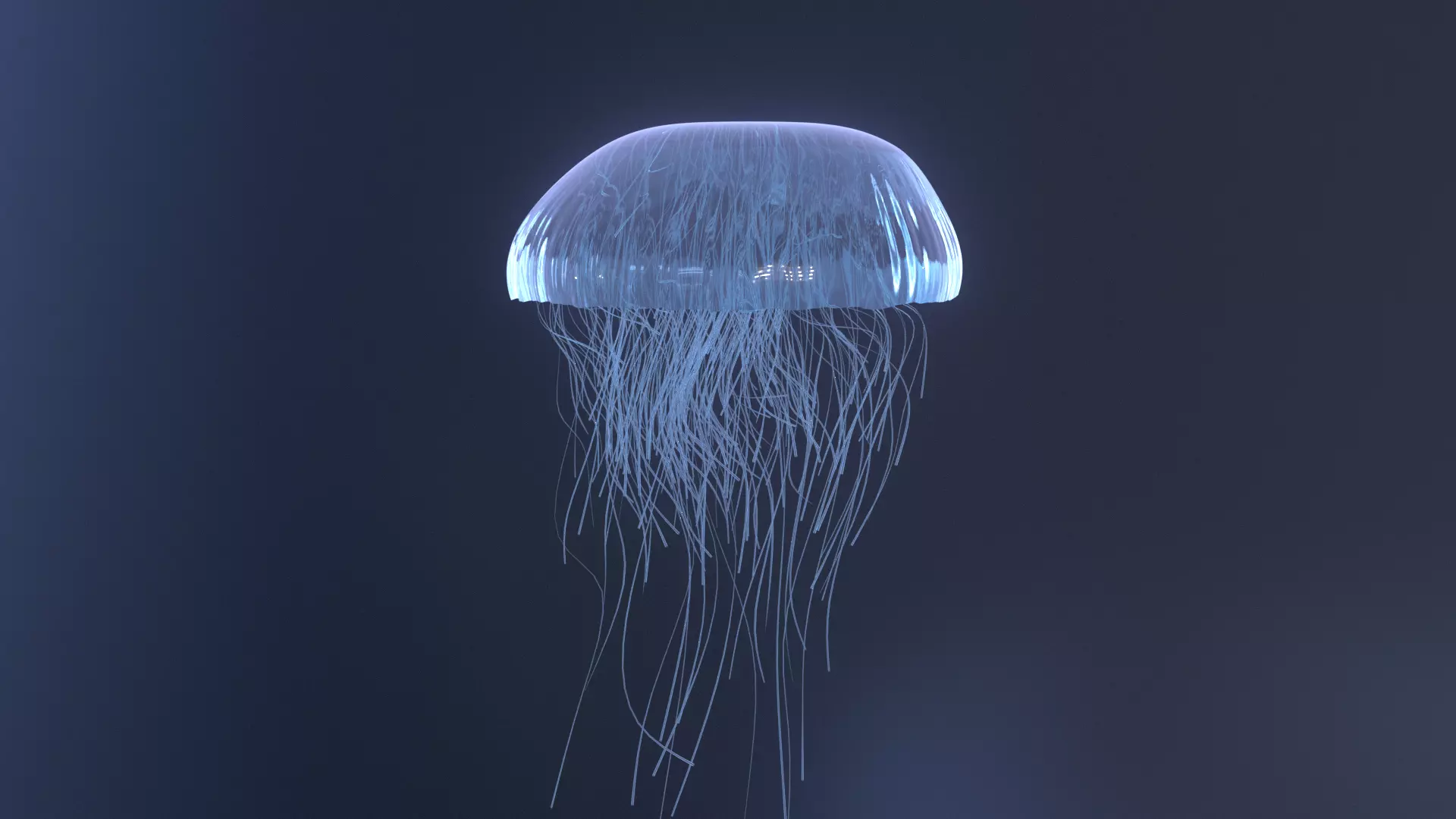 Procedural jellyfish blender cycles 3D model_0