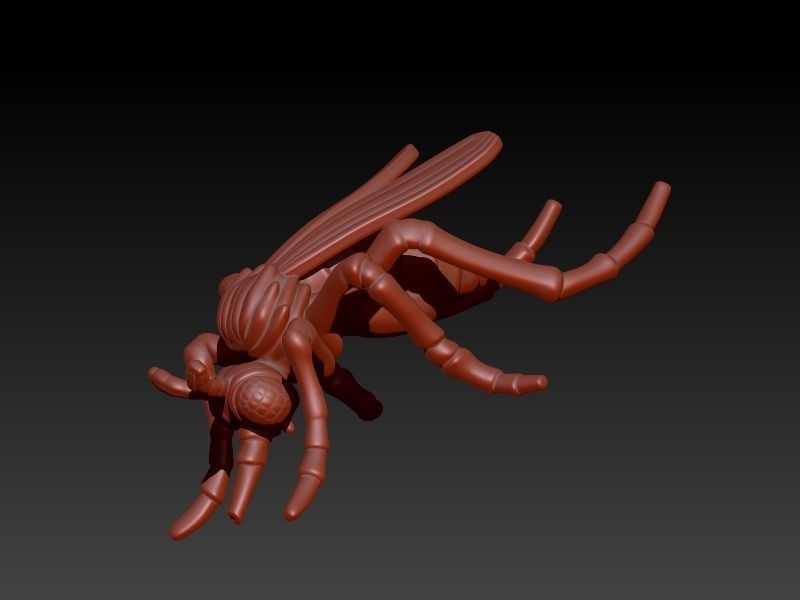 Mosquito bug fly Pendant Necklace Charm bracelet Jewelry 3D print model_6