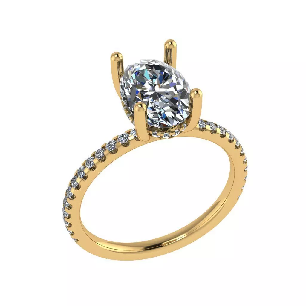 Hidden halo style solitaire diamond ring 3D print model_0