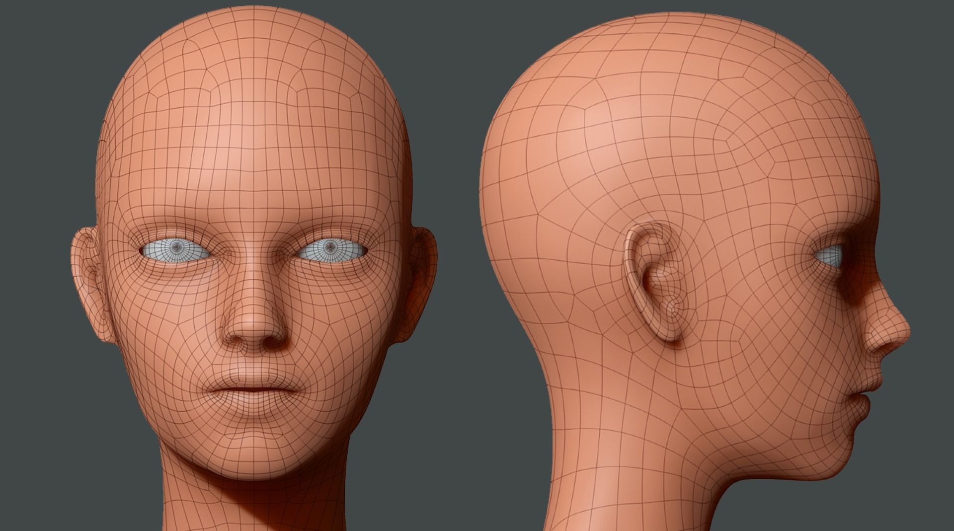 Base Mesh - Female Character - with Retopology and UV Mapping Low-poly 3D model_1