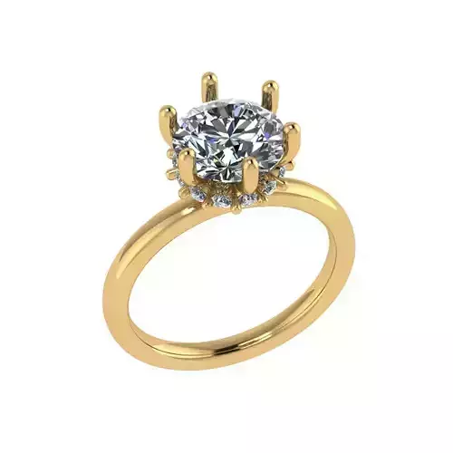 6 prong set diamond ring