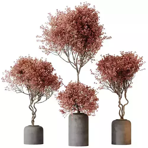 Kalamata Leccino Arbequina Wilsonii Chemlali Olive Set 34 3D model