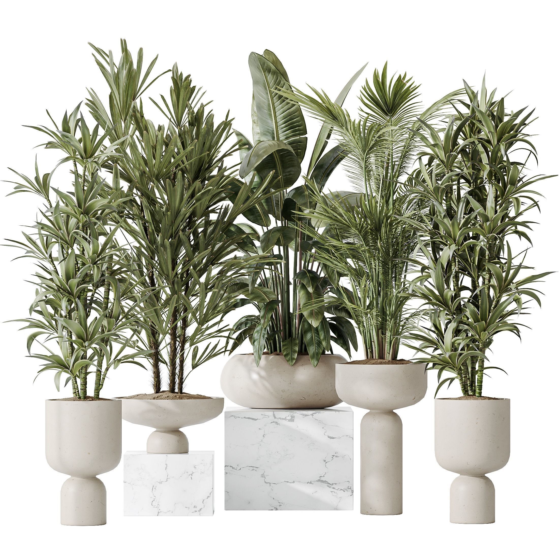 Indoor plants set 81 Areca Majesty and Rhapis Lady 3D model_1