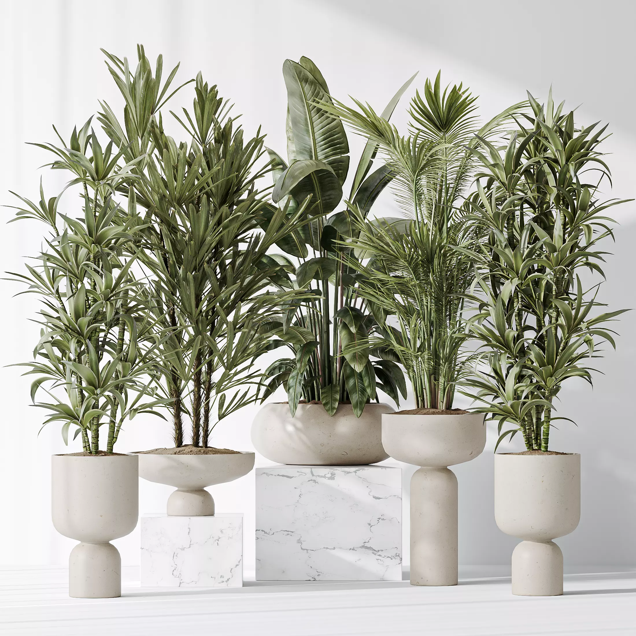 Indoor plants set 81 Areca Majesty and Rhapis Lady 3D model_0