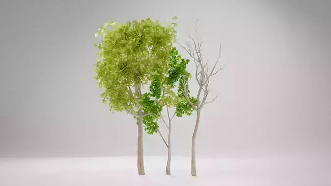 Tree Pack Lowpoly