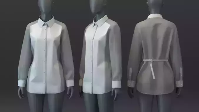 Poplin and Organza Shirt