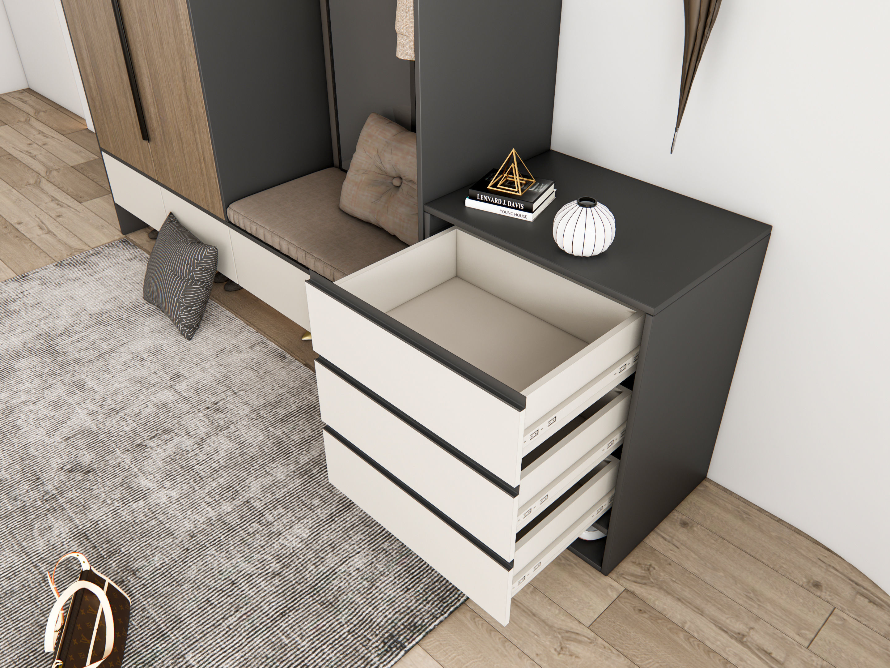 Entryway hallway entrance hall corridor furniture 14 3D model_10