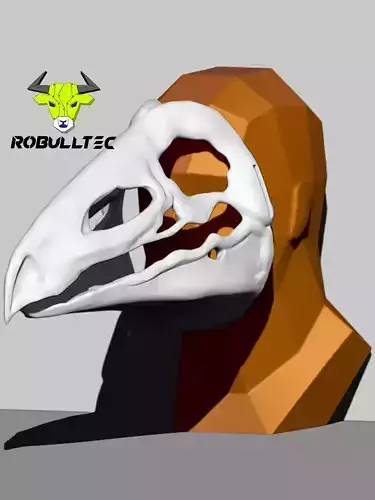 KYOTARO AZUMA MASK 3D print model
