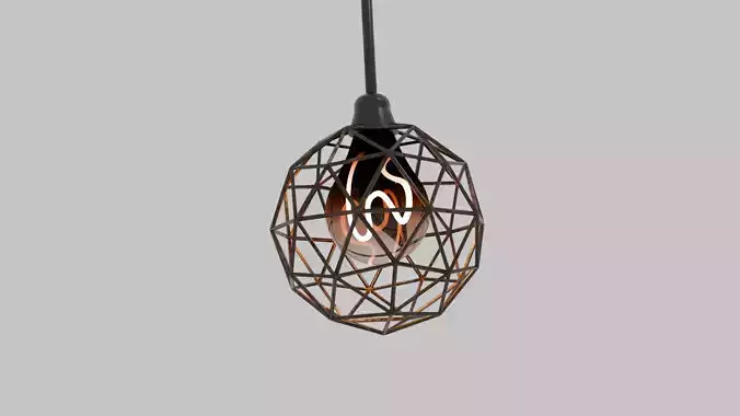 Single Ceiling Lamp