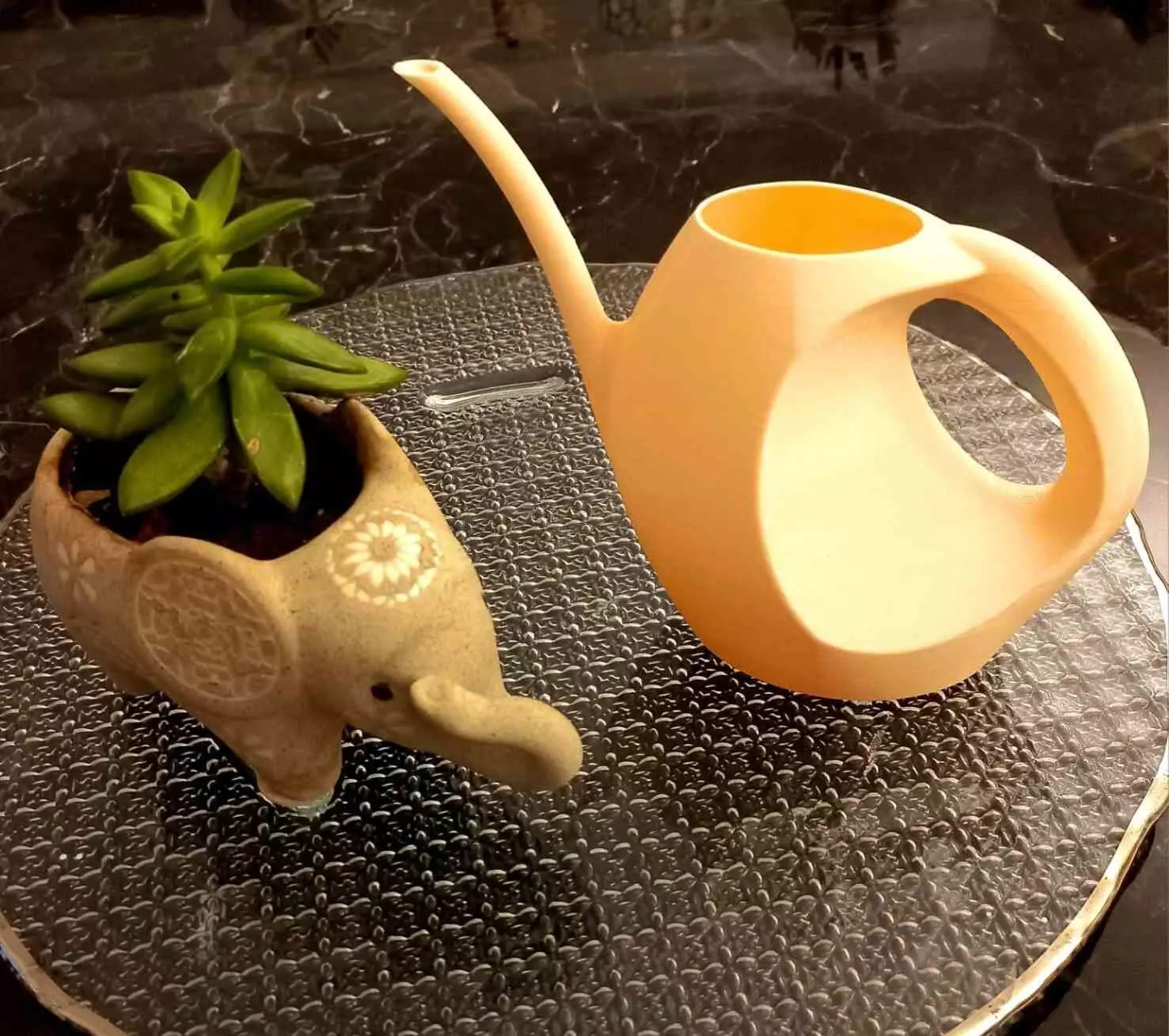 Watering Can 3D print model