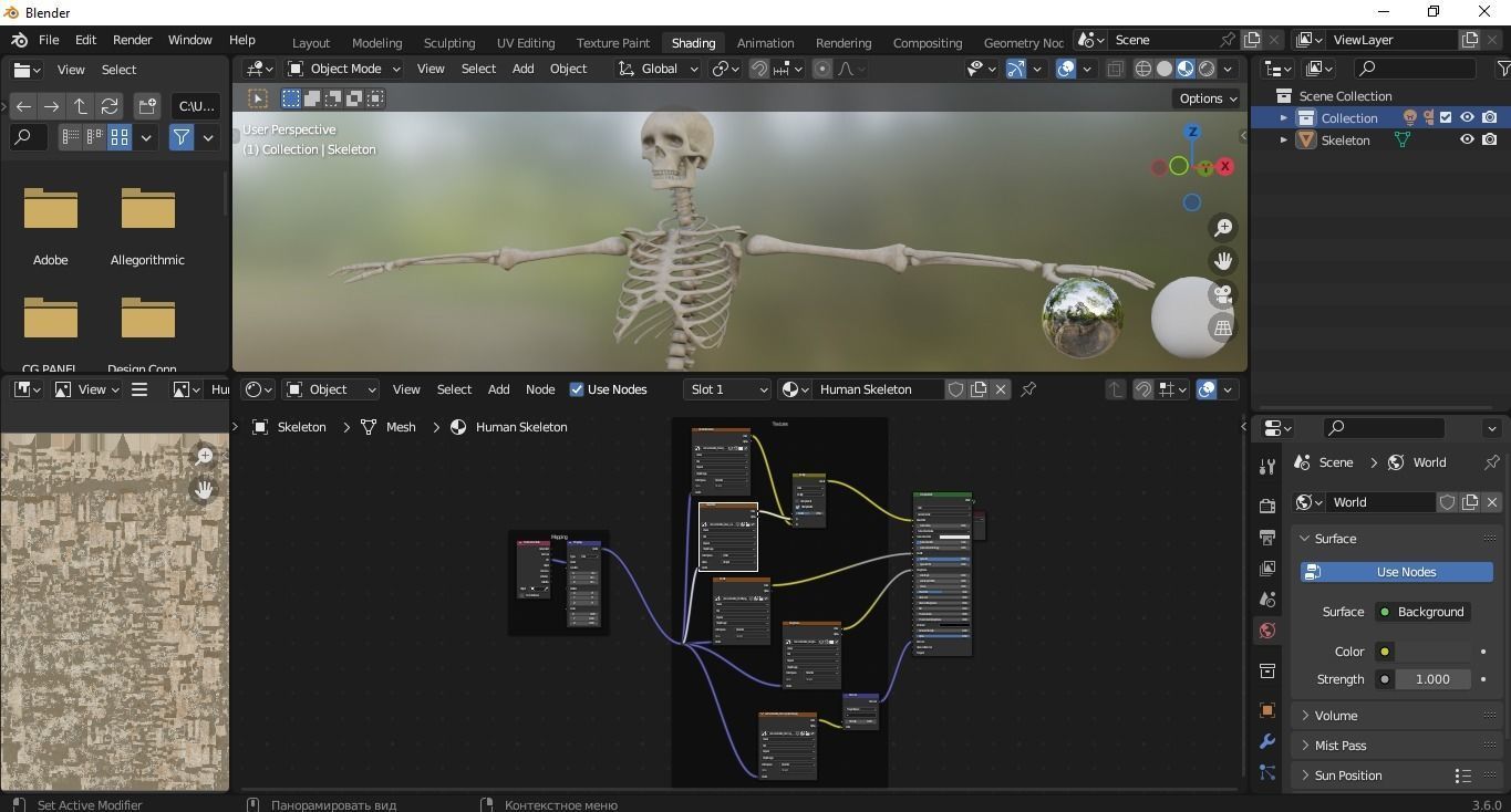 Human Skeleton Low-poly 3D model_29