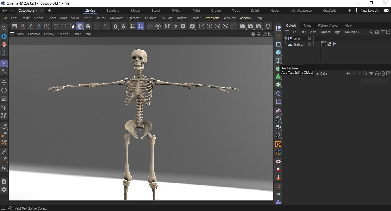 Human Skeleton Low-poly 3D model_26