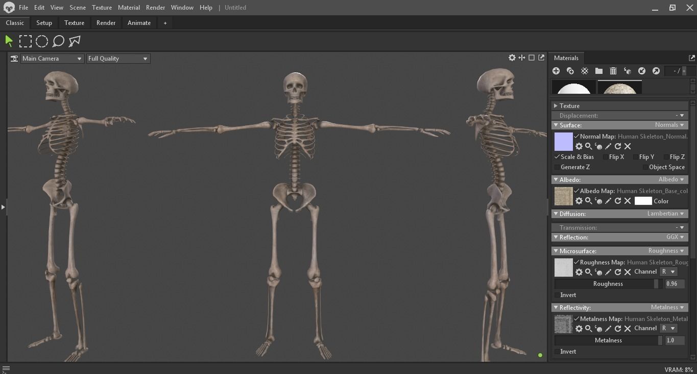 Human Skeleton Low-poly 3D model_32