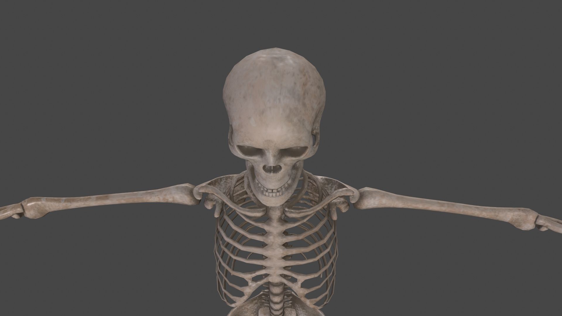 Human Skeleton Low-poly 3D model_21