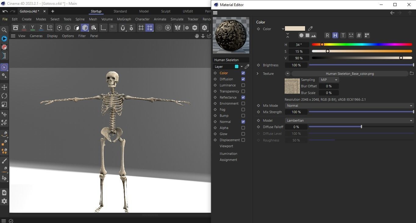 Human Skeleton Low-poly 3D model_27