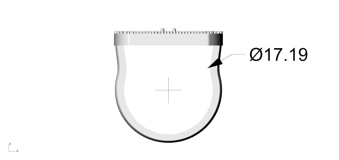 Ring 2024-005 so move  3D print model_7