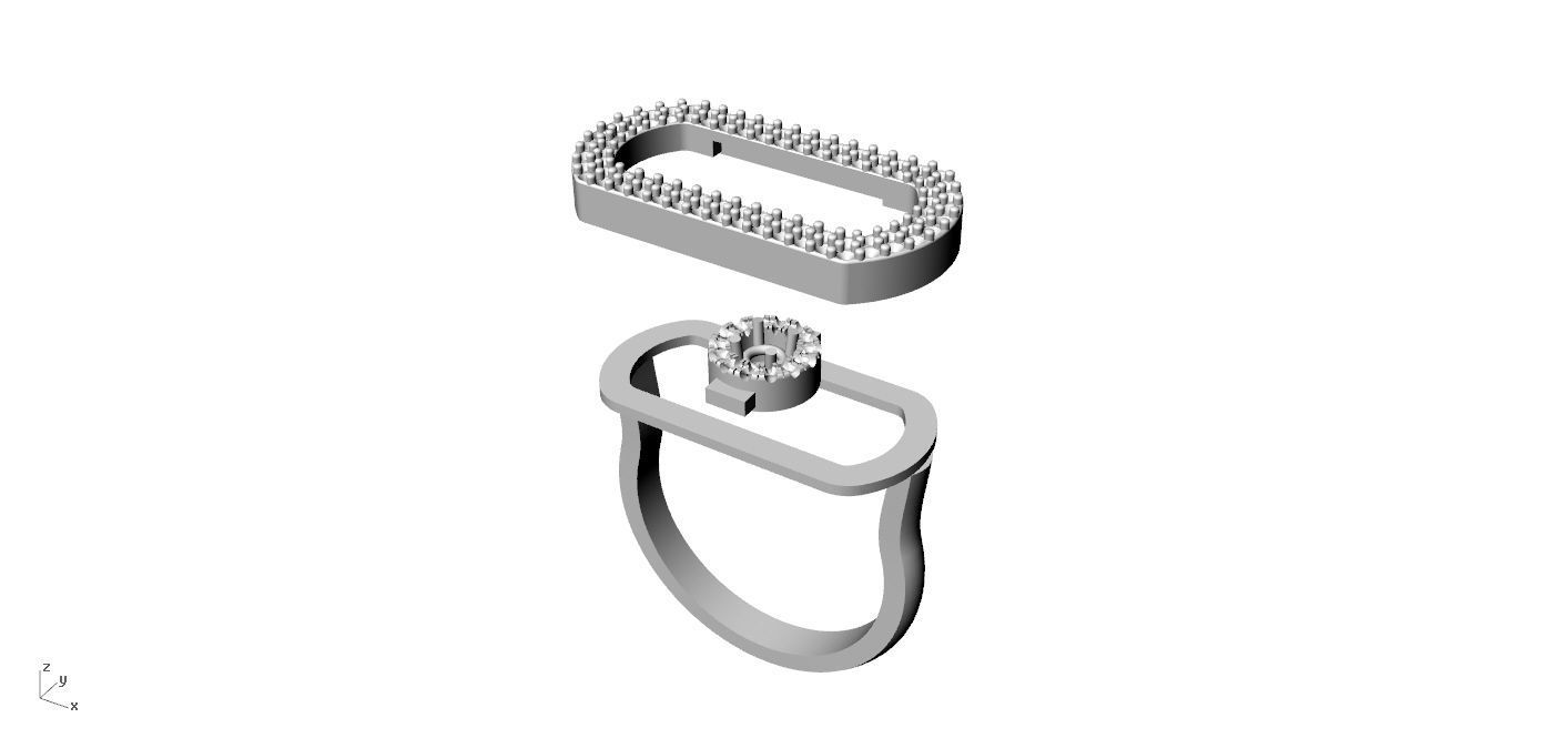 Ring 2024-005 so move  3D print model_8