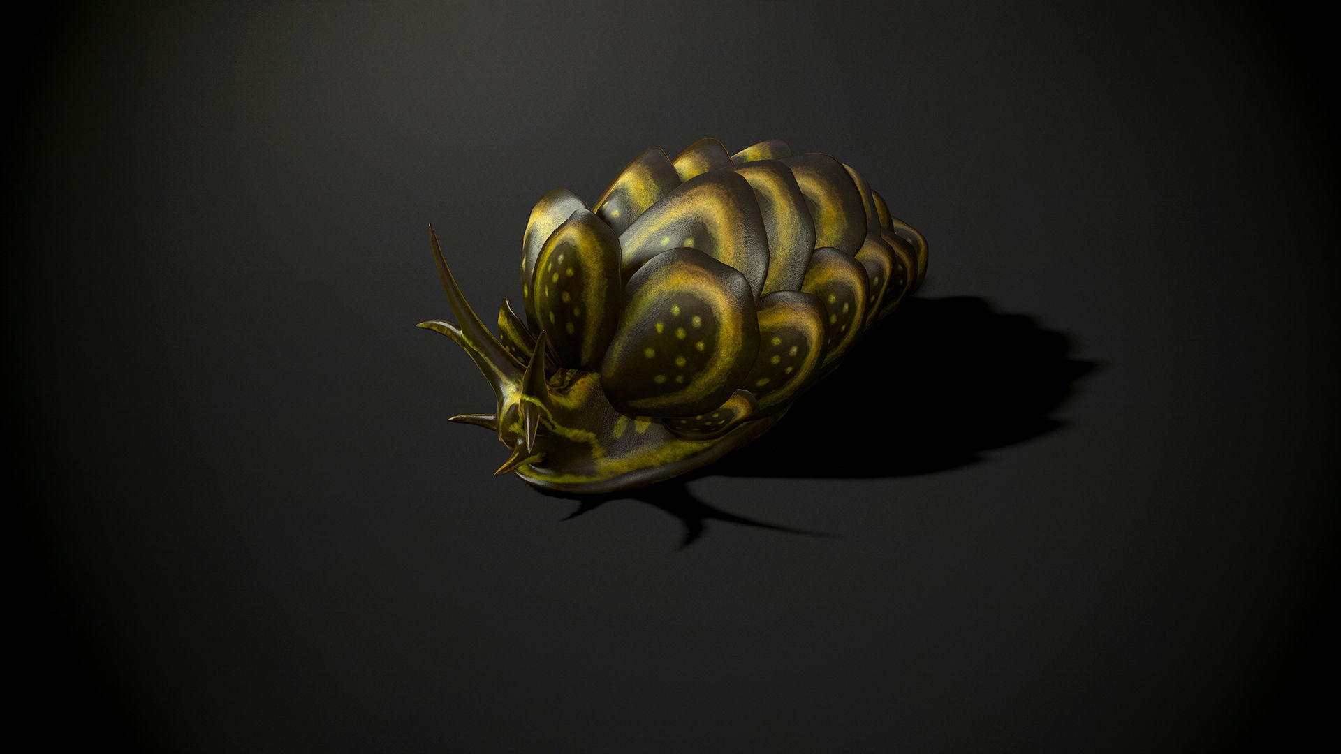 Cyerce Nigricans - Game Ready Low-poly 3D model Low-poly 3D model_5