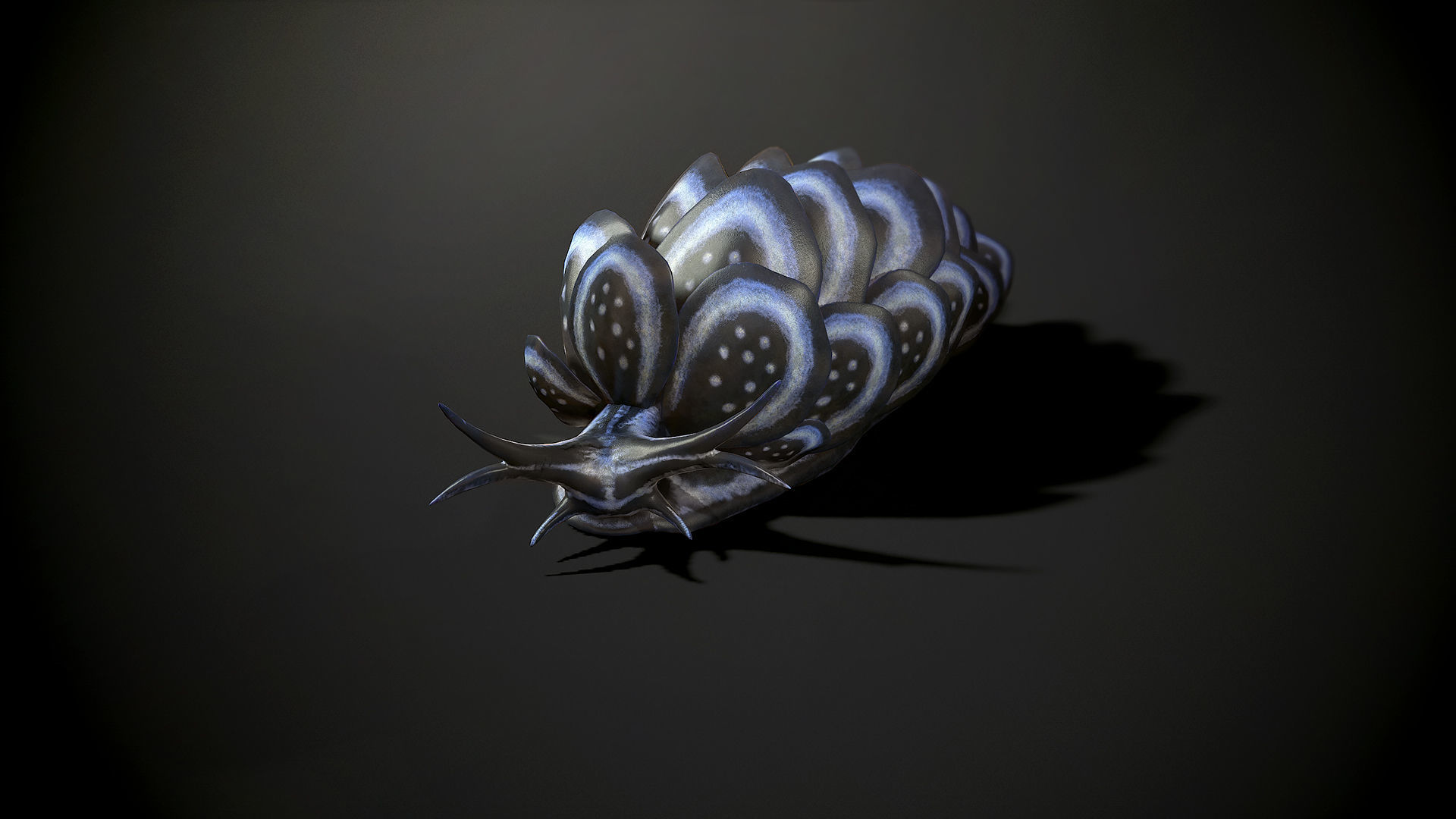 Cyerce Nigricans - Game Ready Low-poly 3D model Low-poly 3D model_8