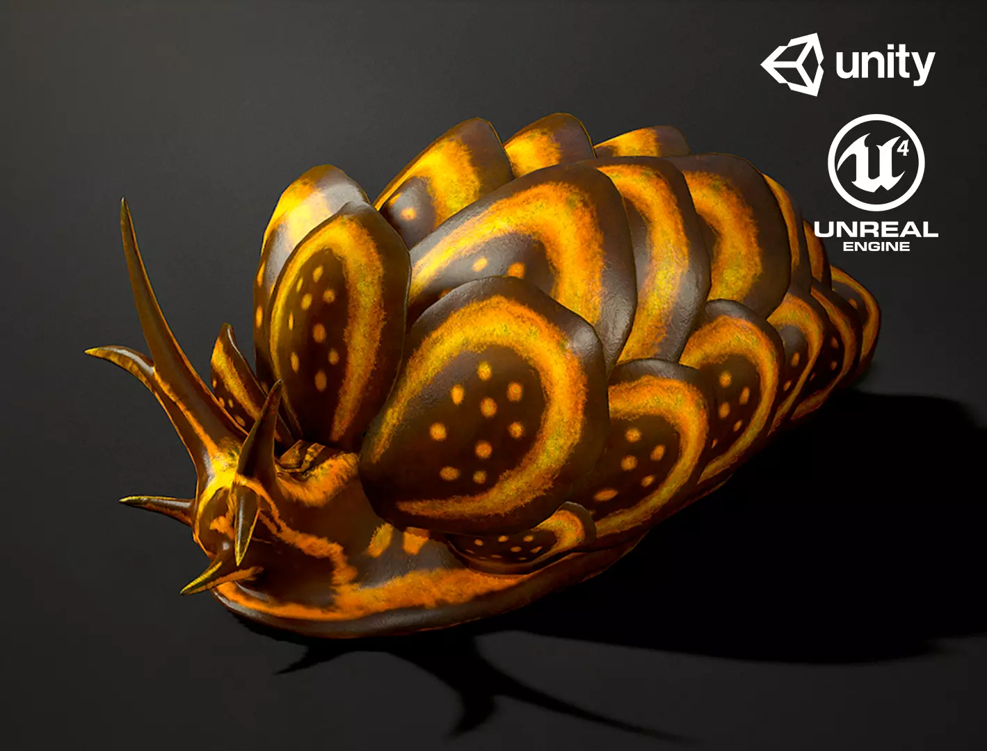 Cyerce Nigricans - Game Ready Low-poly 3D model Low-poly 3D model_0
