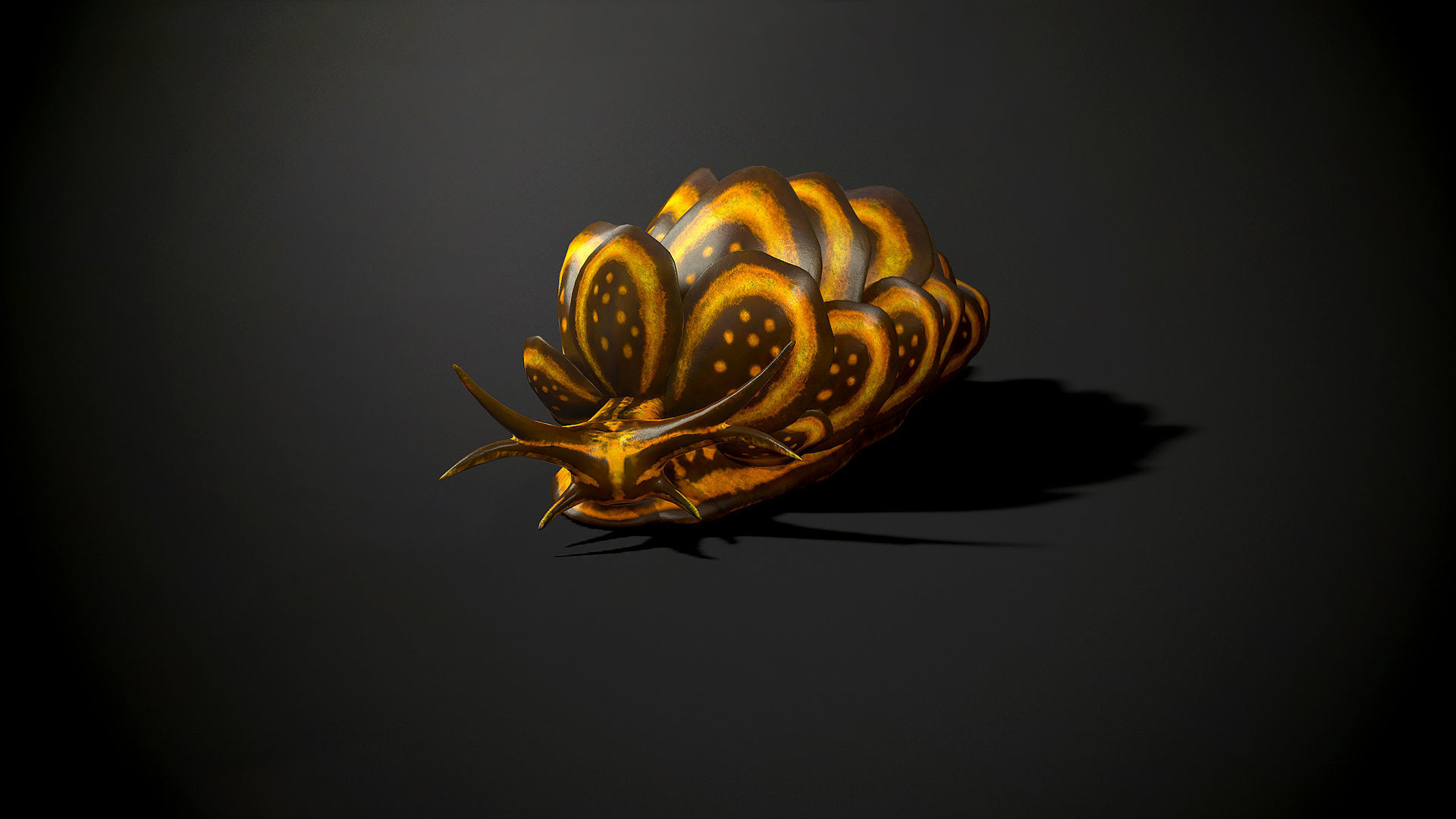 Cyerce Nigricans - Game Ready Low-poly 3D model Low-poly 3D model_2