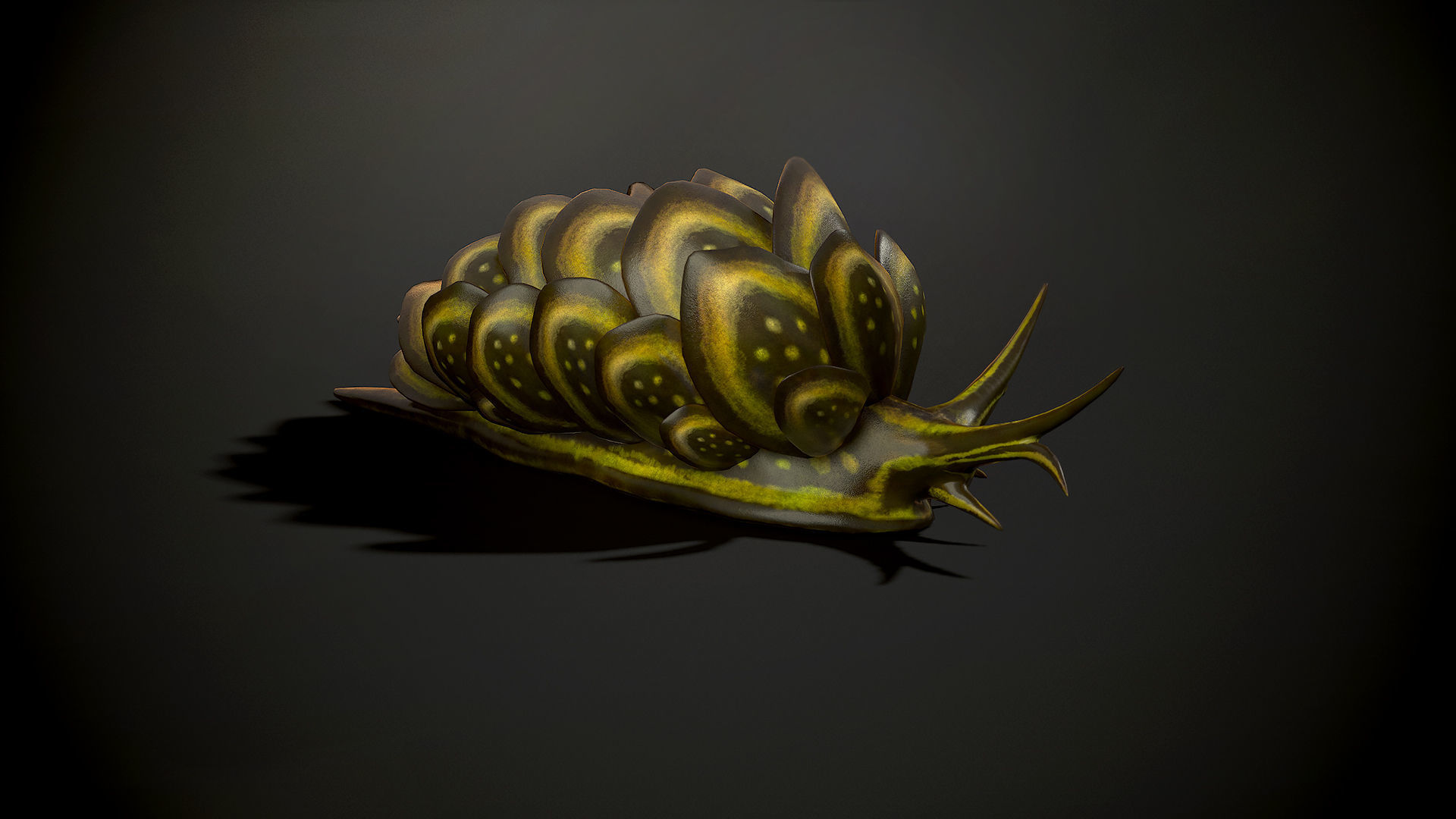 Cyerce Nigricans - Game Ready Low-poly 3D model Low-poly 3D model_6