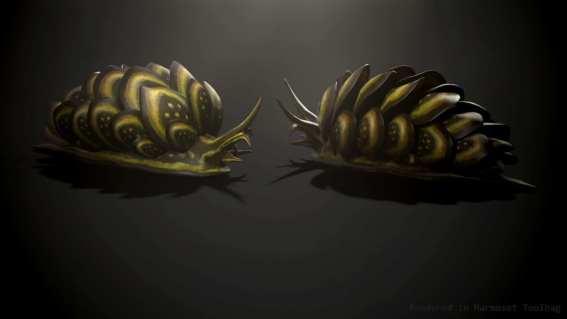 Cyerce Nigricans - Game Ready Low-poly 3D model Low-poly 3D model_4