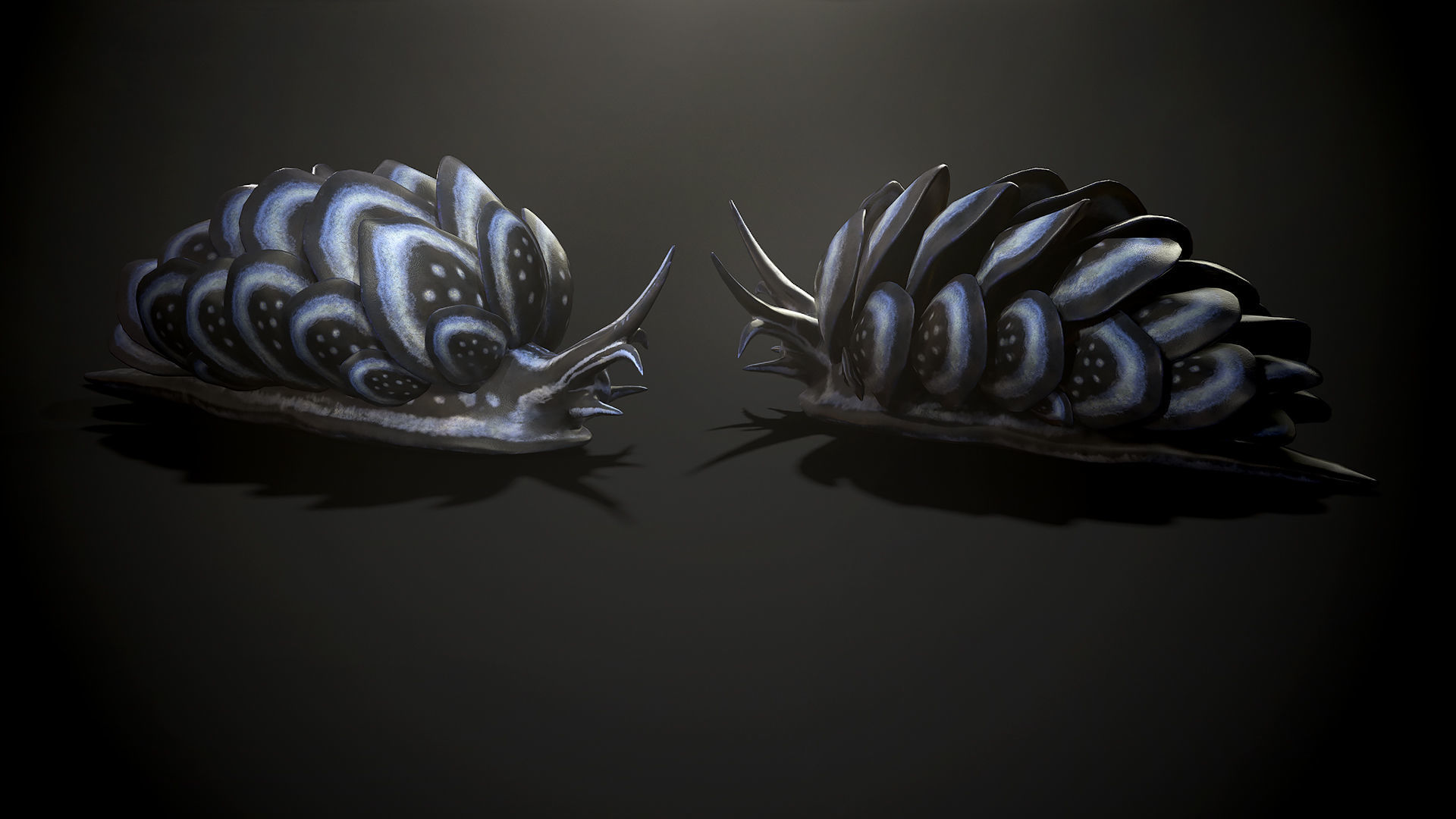 Cyerce Nigricans - Game Ready Low-poly 3D model Low-poly 3D model_7