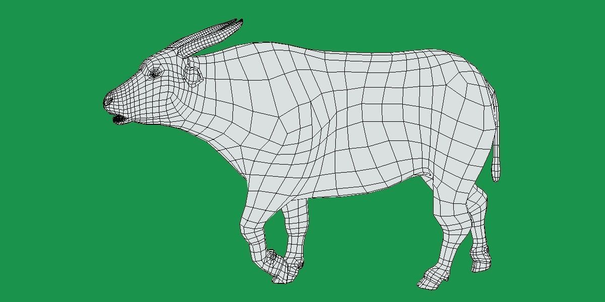 African Dwarf Forest Buffalo Low-poly 3D model_10