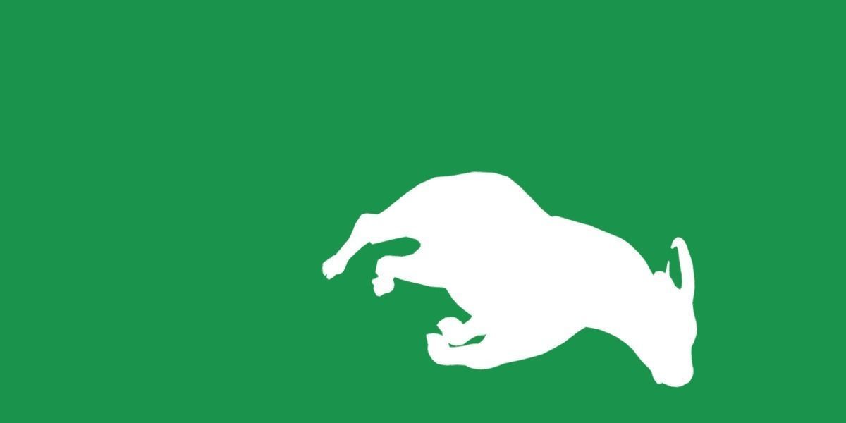 African Dwarf Forest Buffalo Low-poly 3D model_23