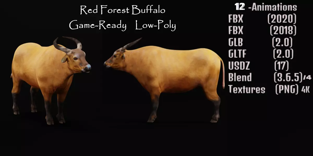 African Dwarf Forest Buffalo Low-poly 3D model_0