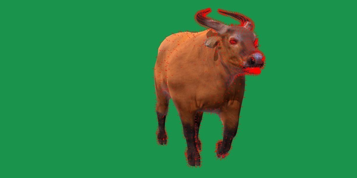African Dwarf Forest Buffalo Low-poly 3D model_11