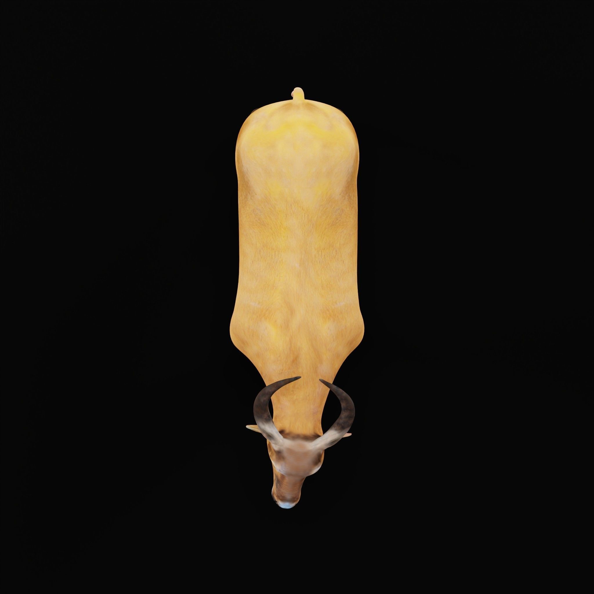 African Dwarf Forest Buffalo Low-poly 3D model_27