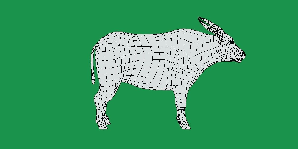 African Dwarf Forest Buffalo Low-poly 3D model_9