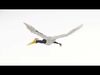Stylized Stork - Animated Model 3D model_1