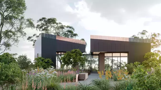 Collection 36 - North American Home - Garden Plants