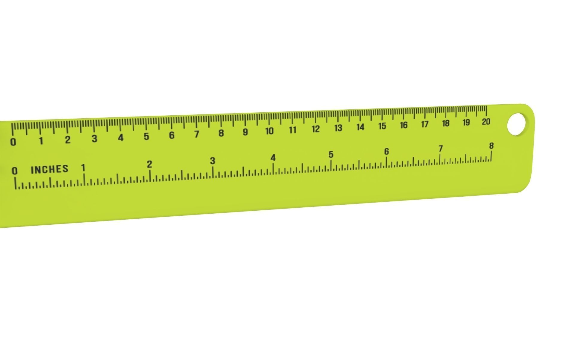 Ruler With Frog Animal Adorable Low-poly 3D model_7