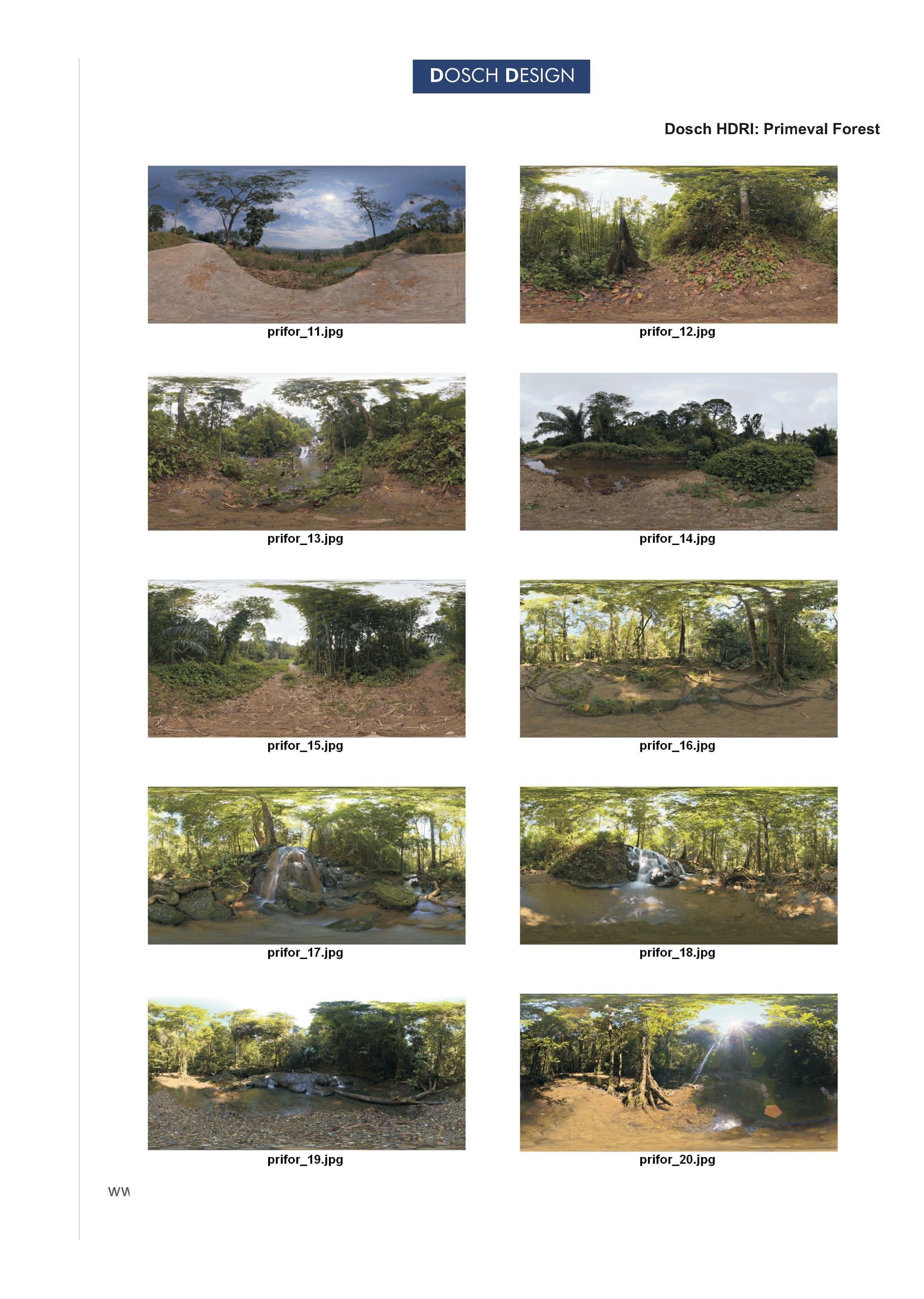 Dosch HDRI - Primeval Forest Texture_2