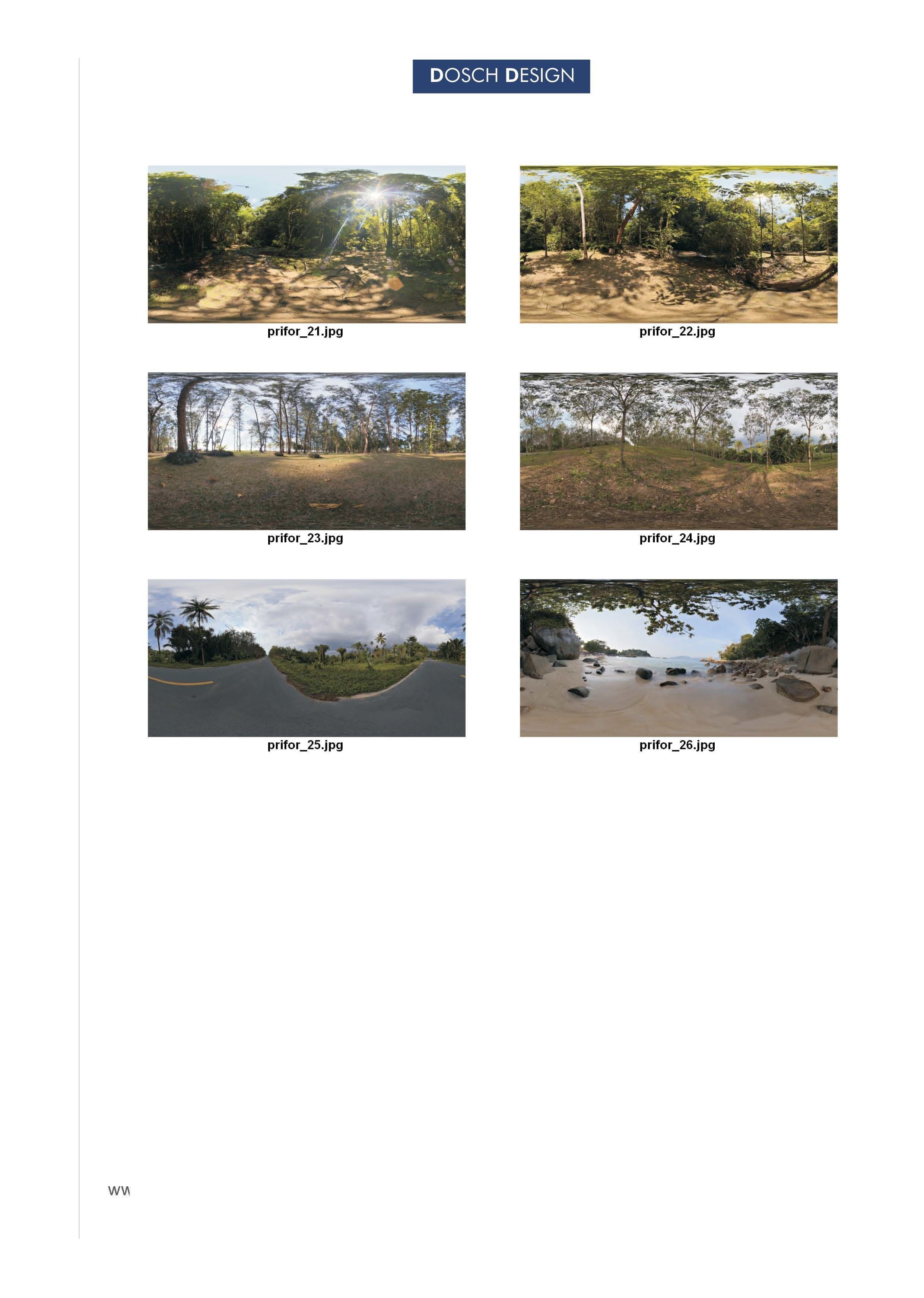 Dosch HDRI - Primeval Forest Texture_3