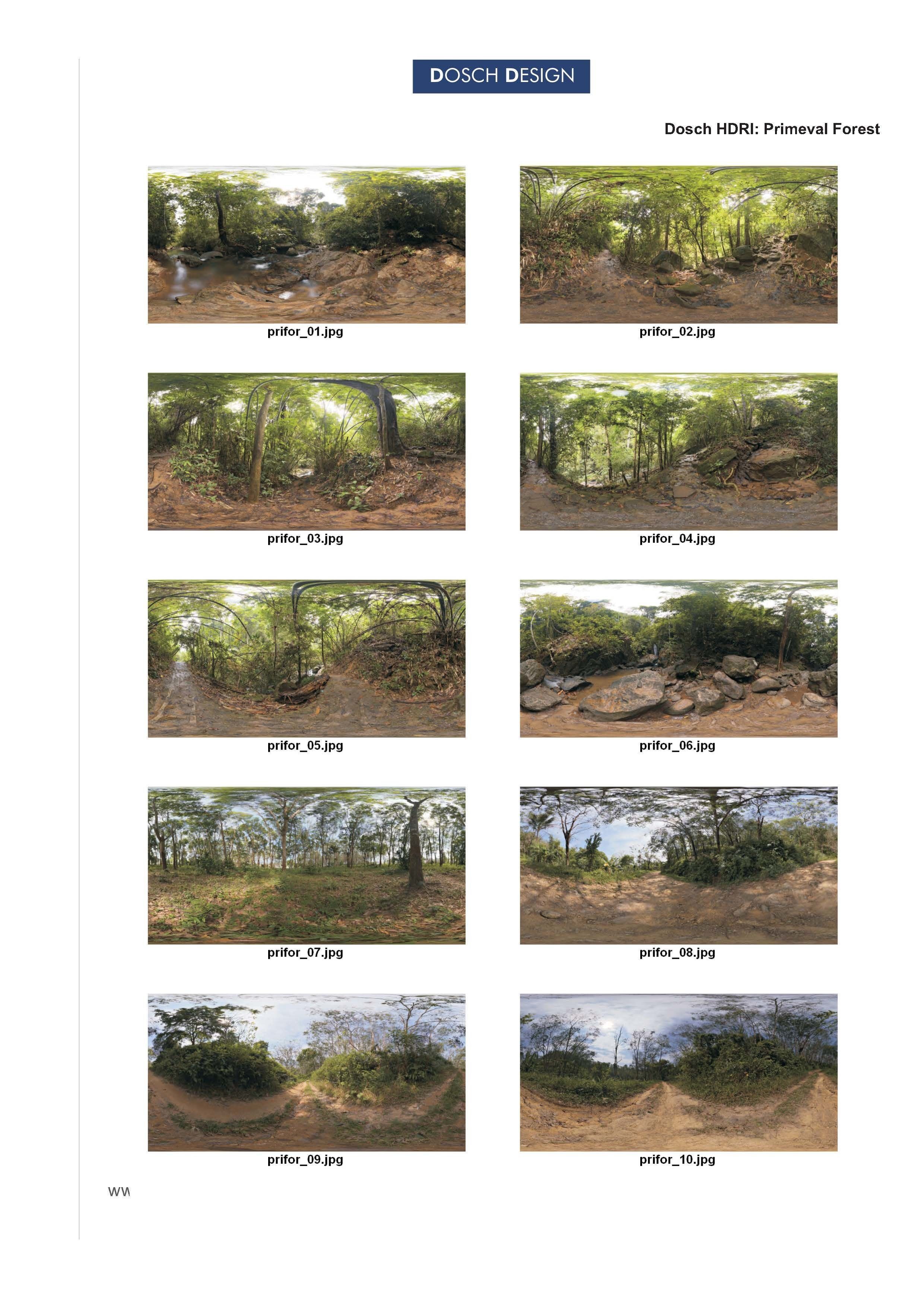 Dosch HDRI - Primeval Forest Texture_1