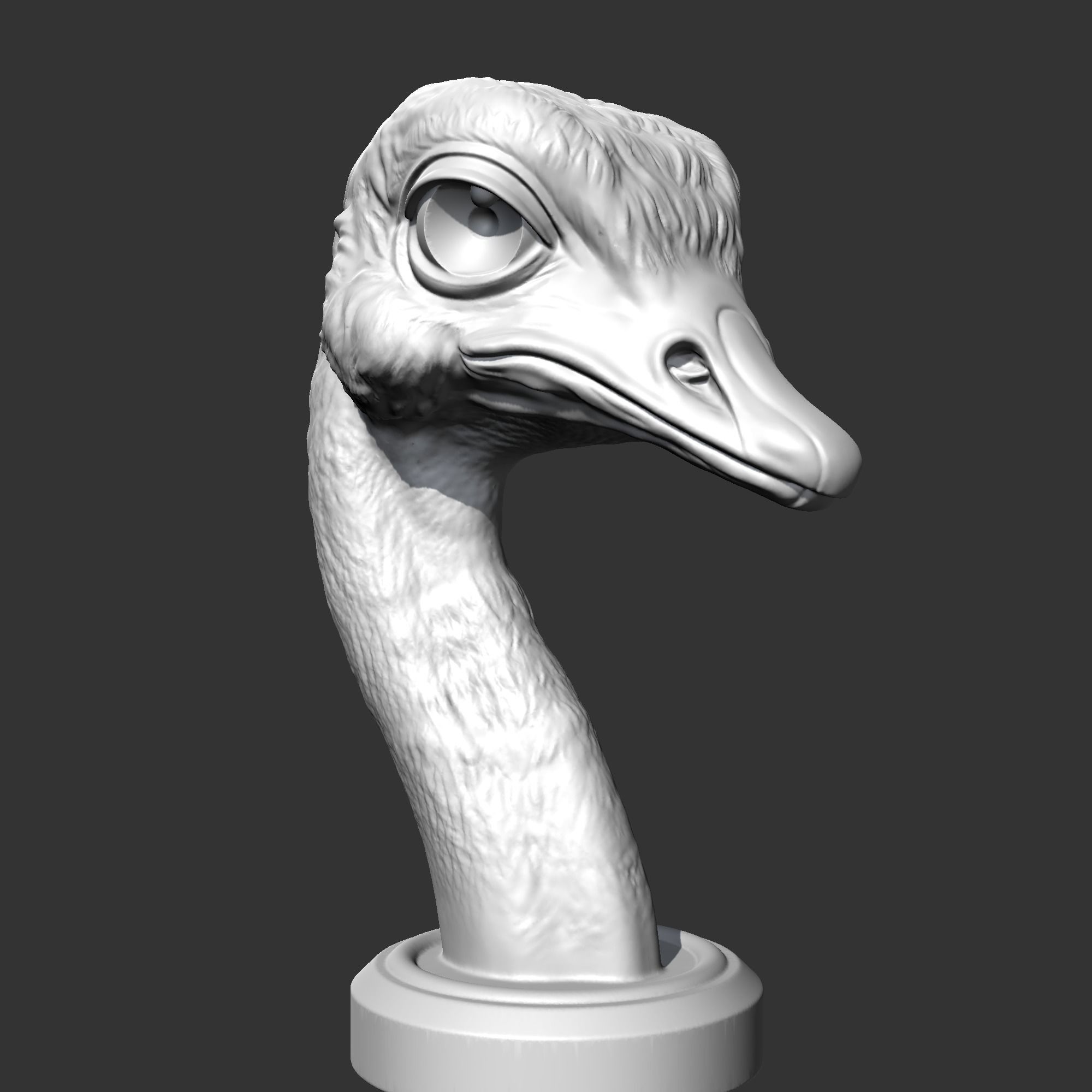 Ostrich Head AM31 3D print model 3D print model_9