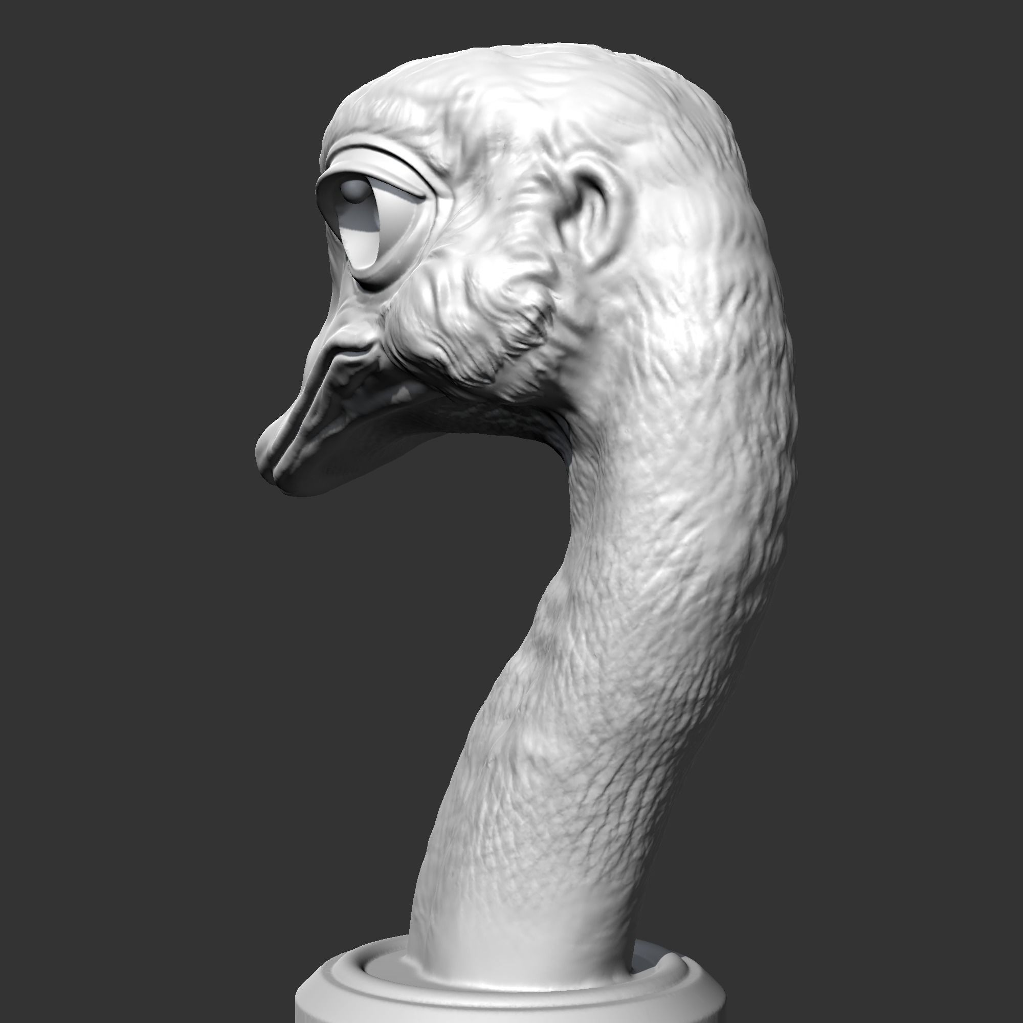 Ostrich Head AM31 3D print model 3D print model_6