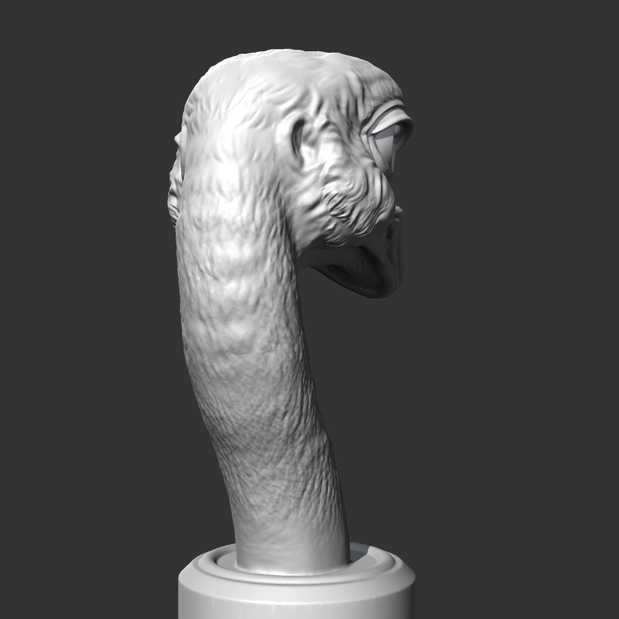 Ostrich Head AM31 3D print model 3D print model_7