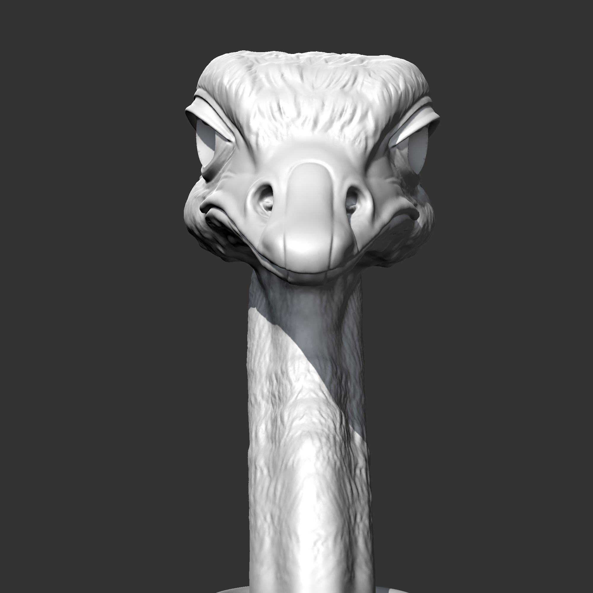 Ostrich Head AM31 3D print model 3D print model_2