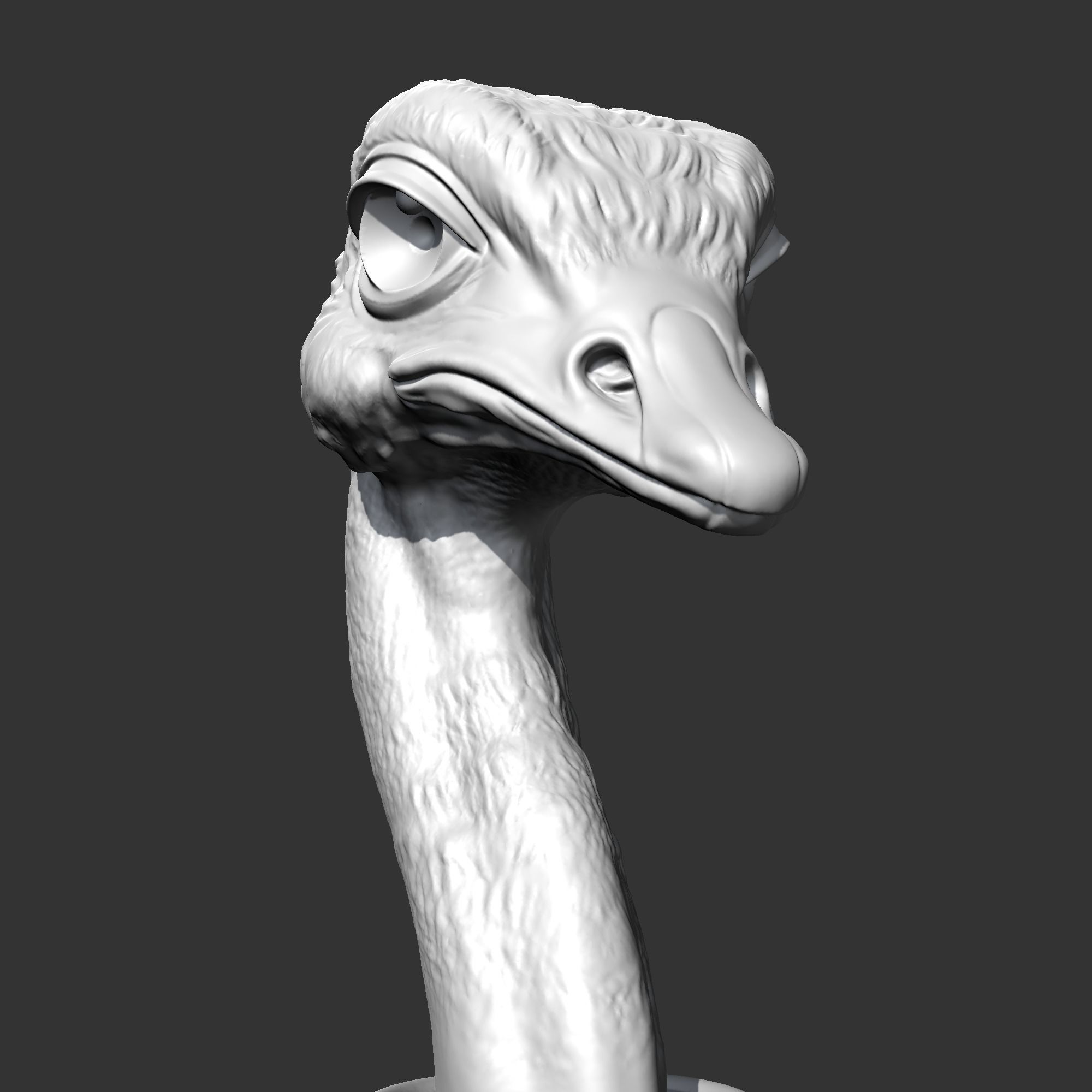 Ostrich Head AM31 3D print model 3D print model_1