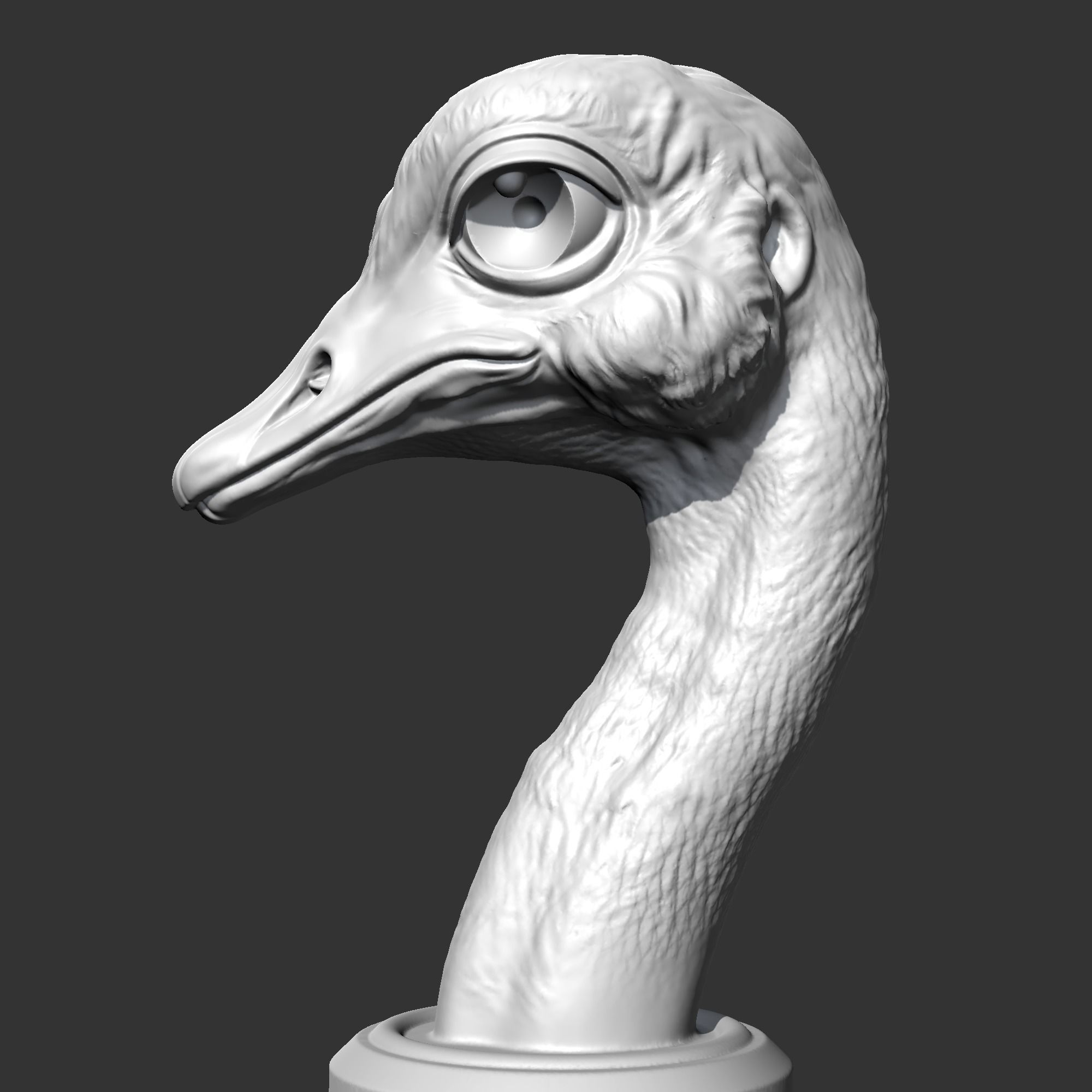 Ostrich Head AM31 3D print model 3D print model_5