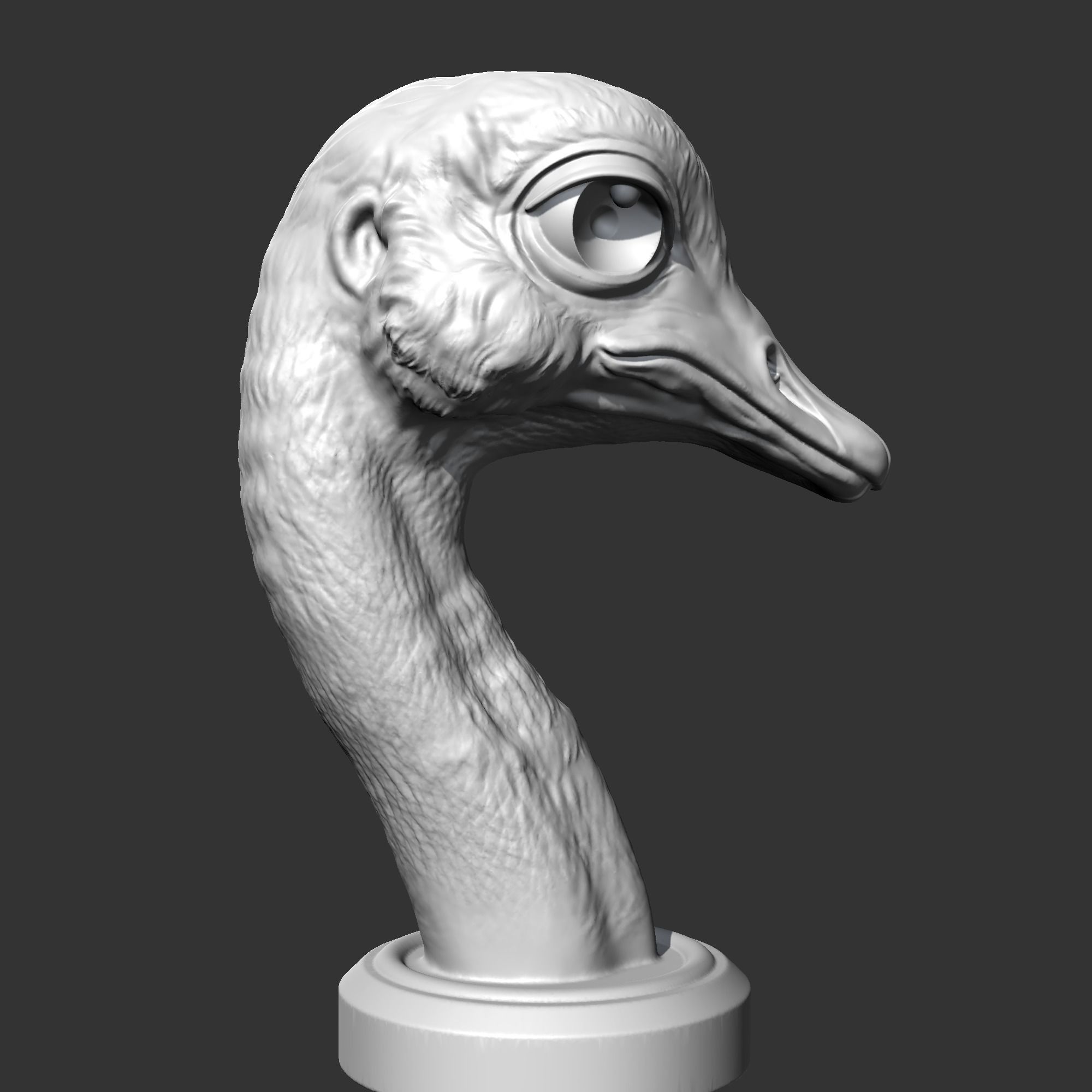 Ostrich Head AM31 3D print model 3D print model_8